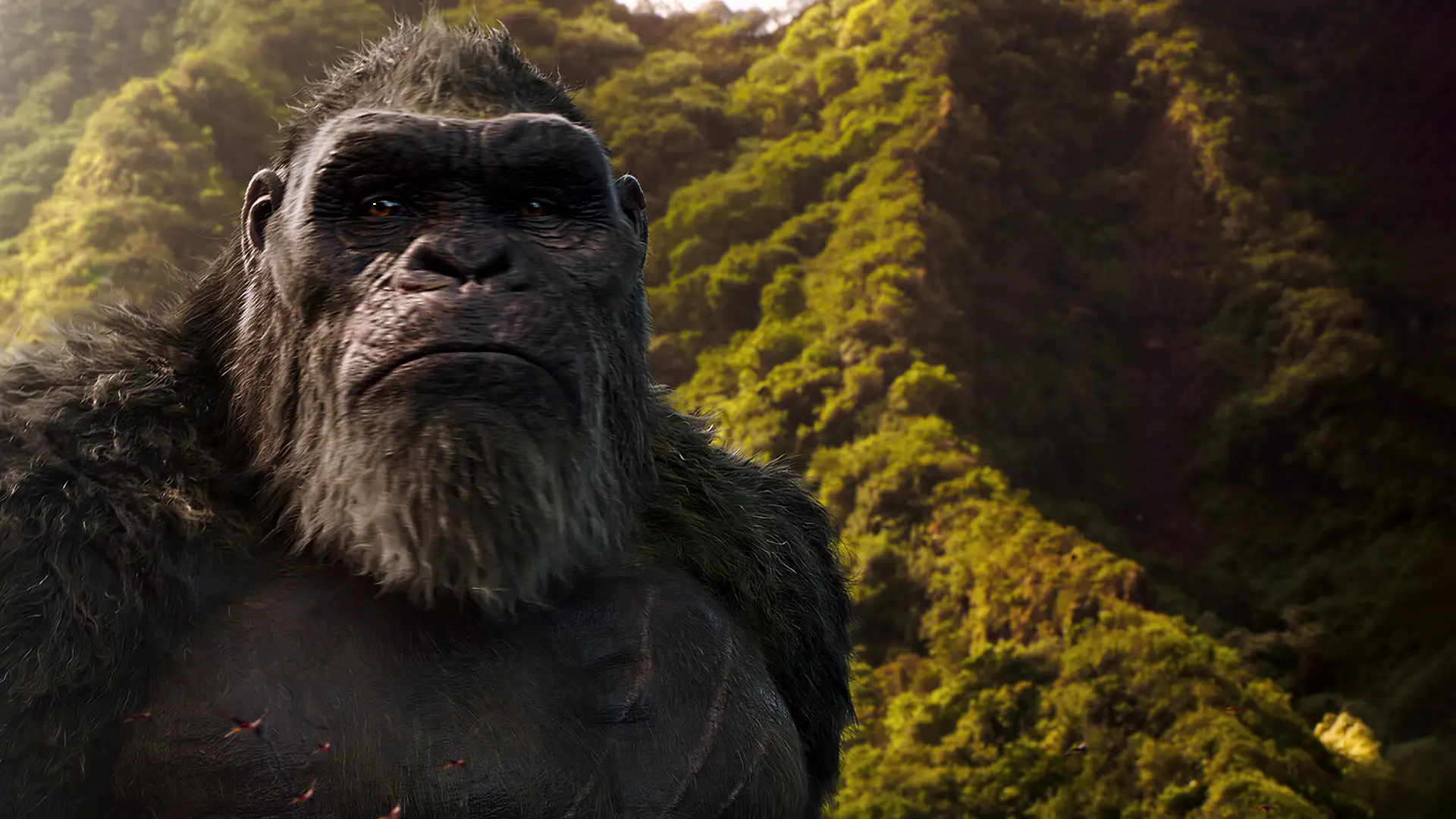 گودزیلا در برابر کونگ